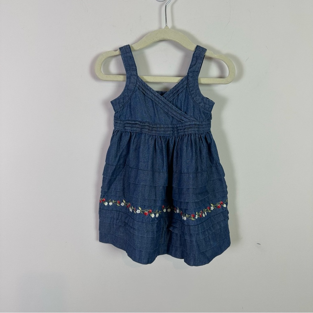 Janie and Jack Baby Girl Denim Pleated Floral Embroidery Dress 6 to 12 Months